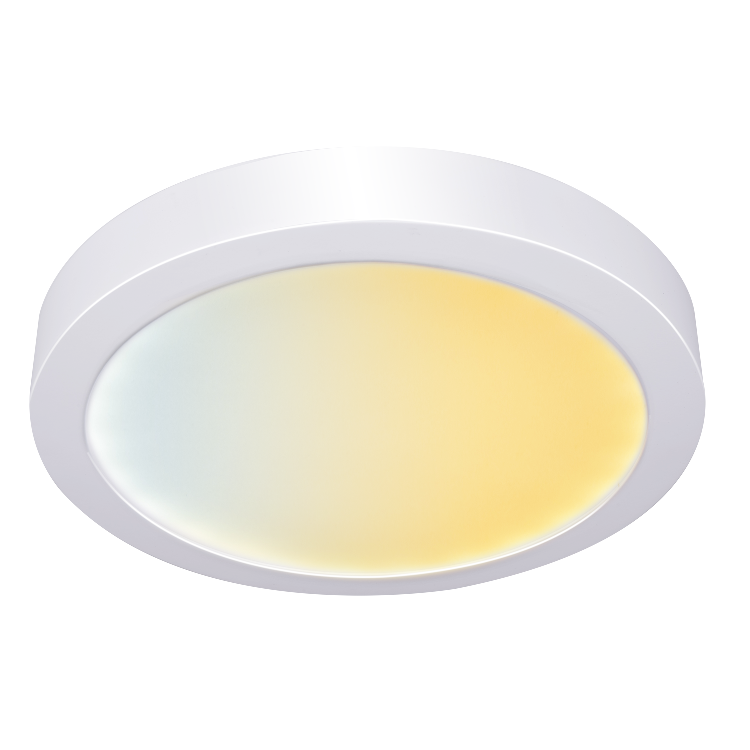 Smart Ceiling lamp Warm/ Cool white 18W