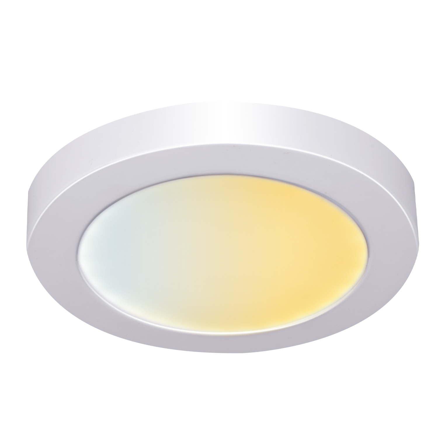 Smart Ceiling lamp Warm/ Cool white 12W